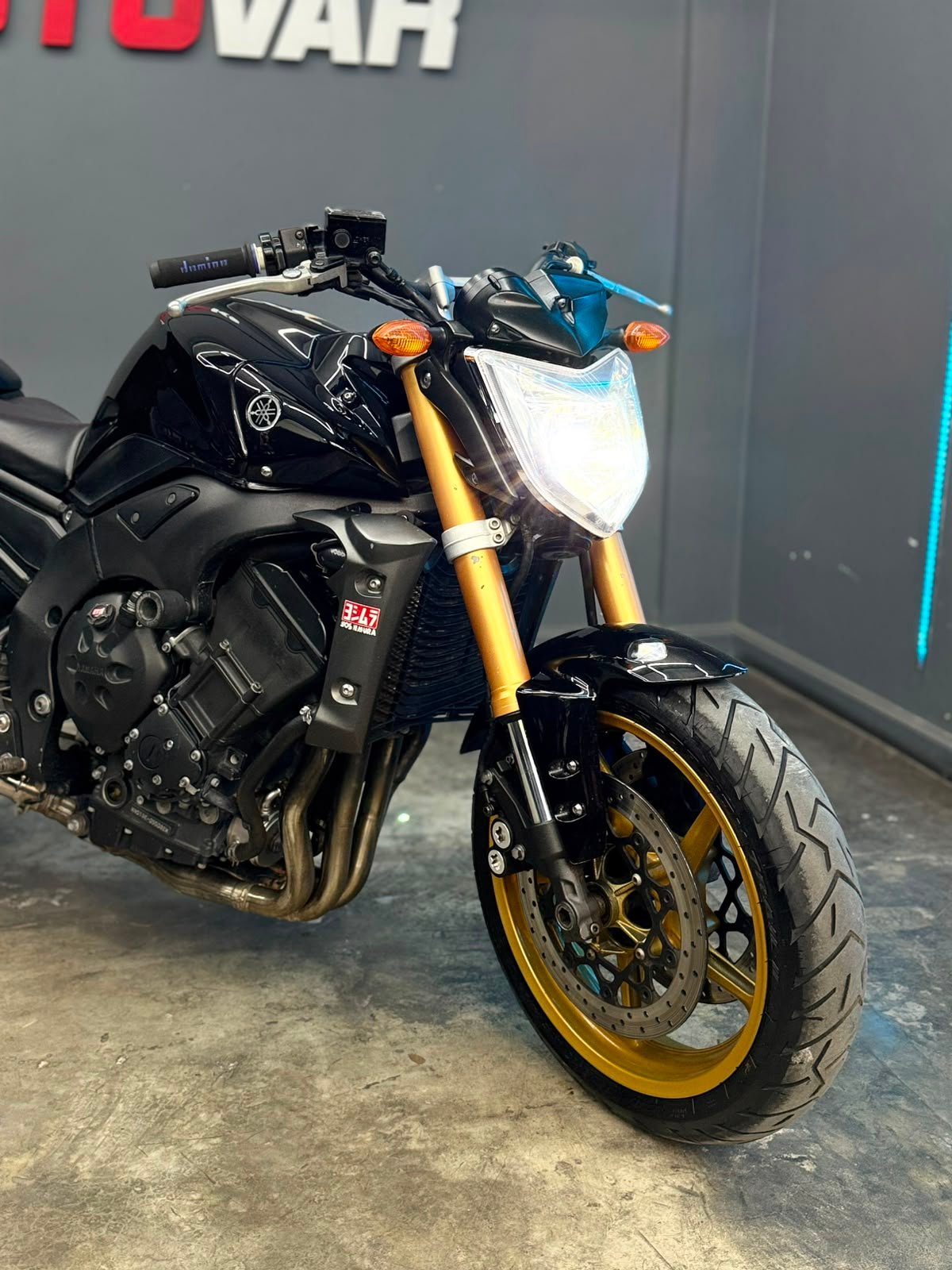 YAMAHA FZ1000 2011