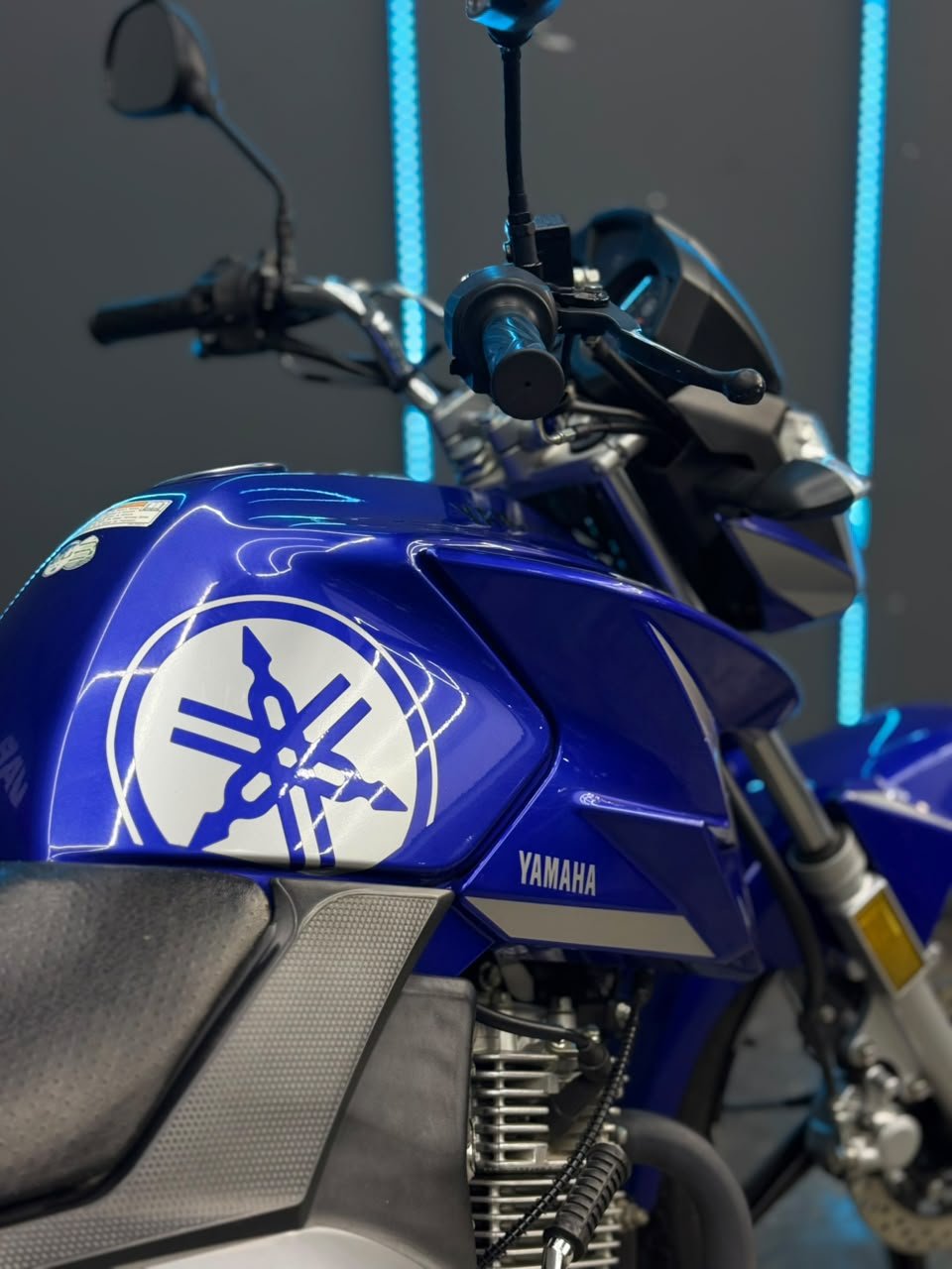 YAMAHA YBR125 2024